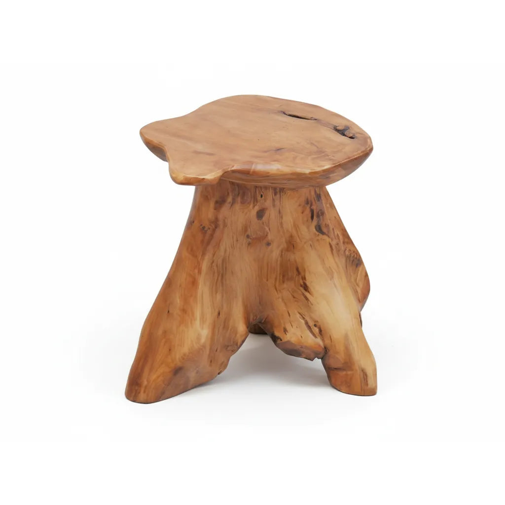 Cedar Wood Tree Stump Stool Live Edge Natural Side Table